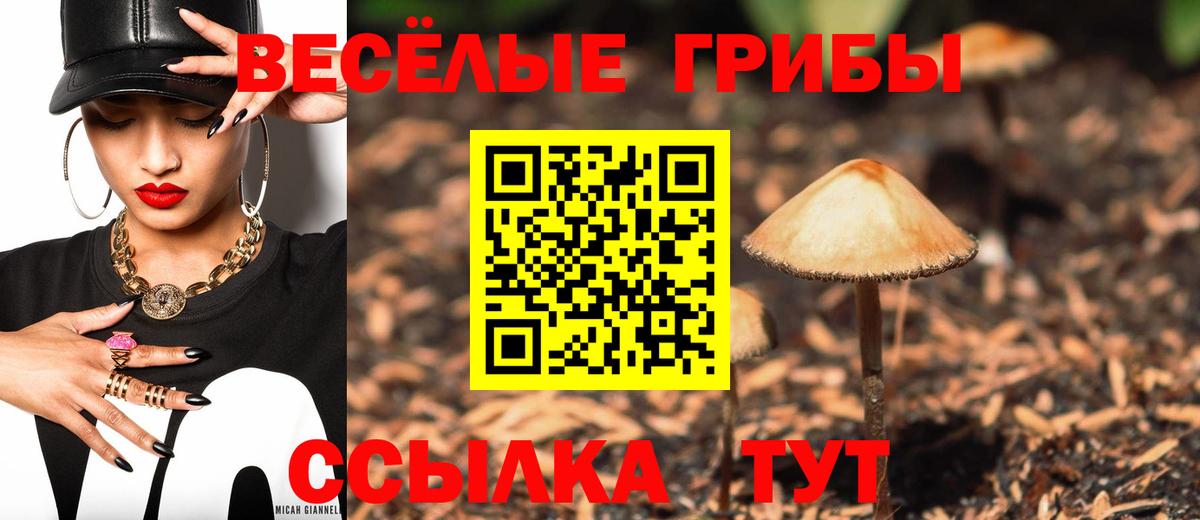 Галлюциногенные грибы ЛСД Лысьва