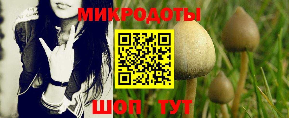 Галлюциногенные грибы GOLDEN TEACHER  Вход с VPN  Лысьва 